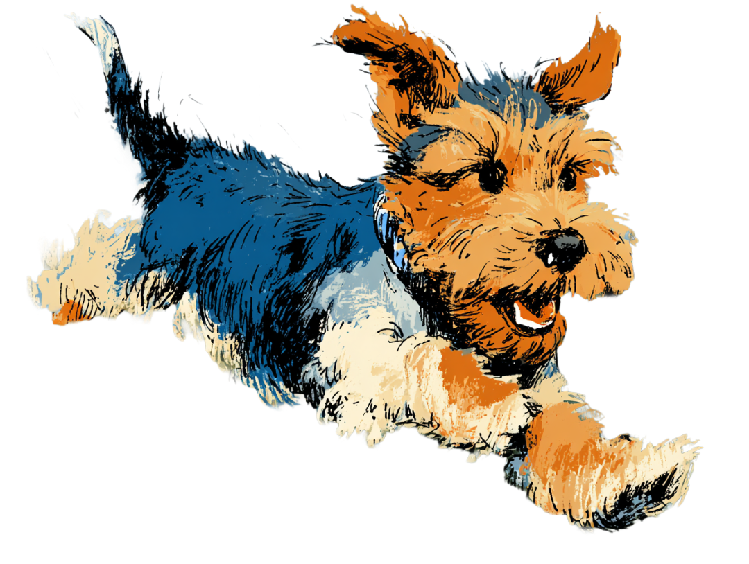 Wild Swimming with Your Dog - illustrated dog in action