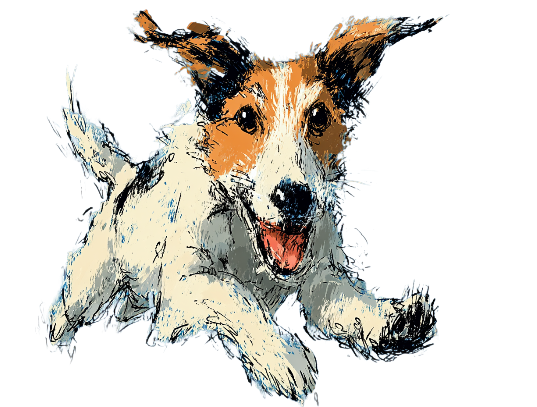 Camping with Your Dog - illustrated dog in action