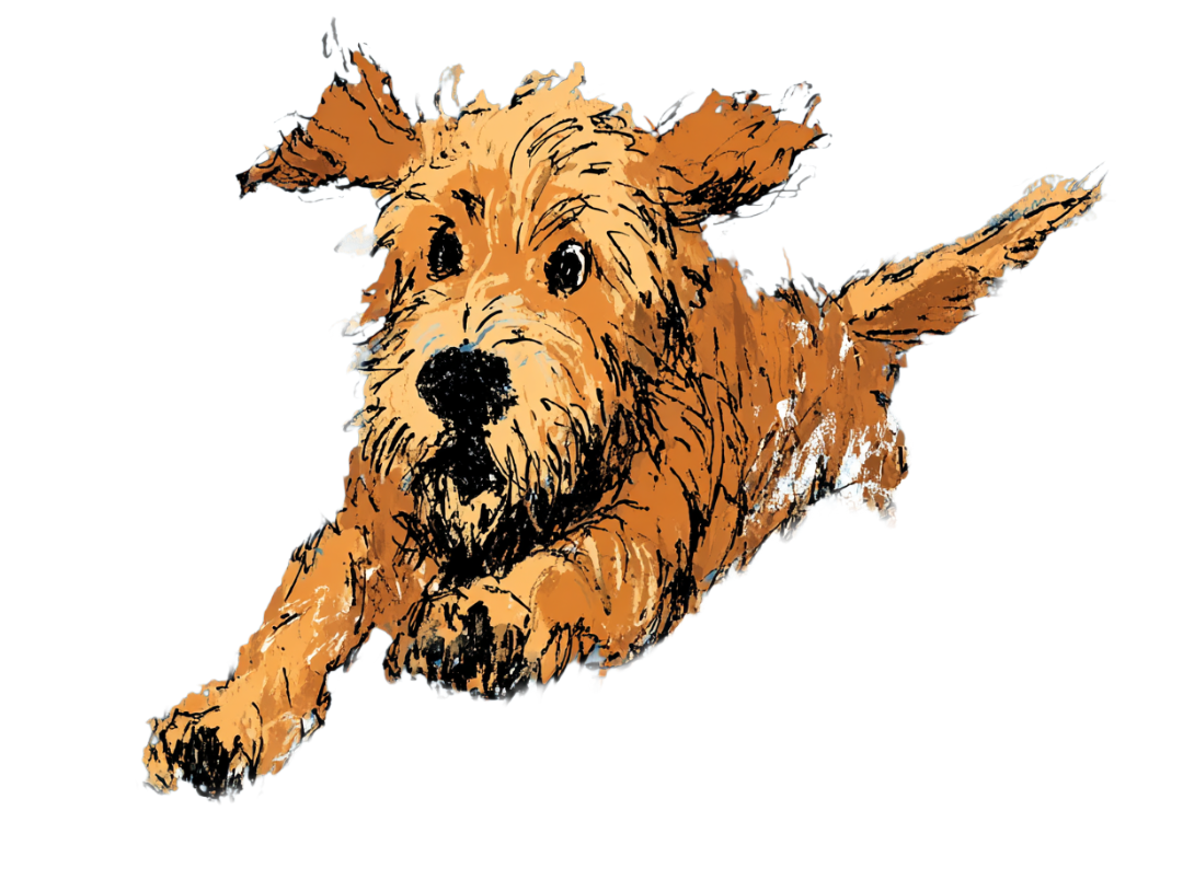 Biking with Your Dog - illustrated dog in action